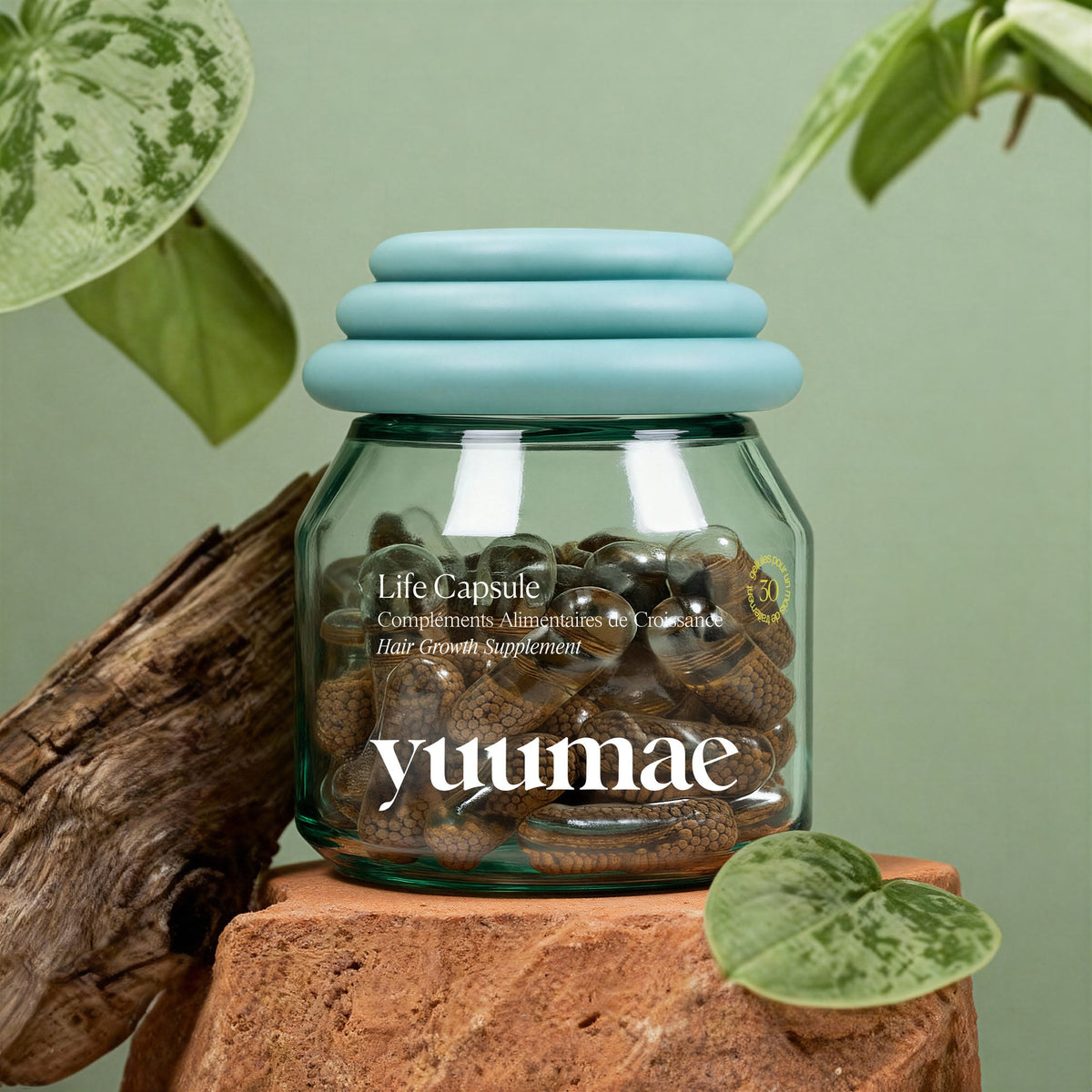 Compléments pousse & vitalité