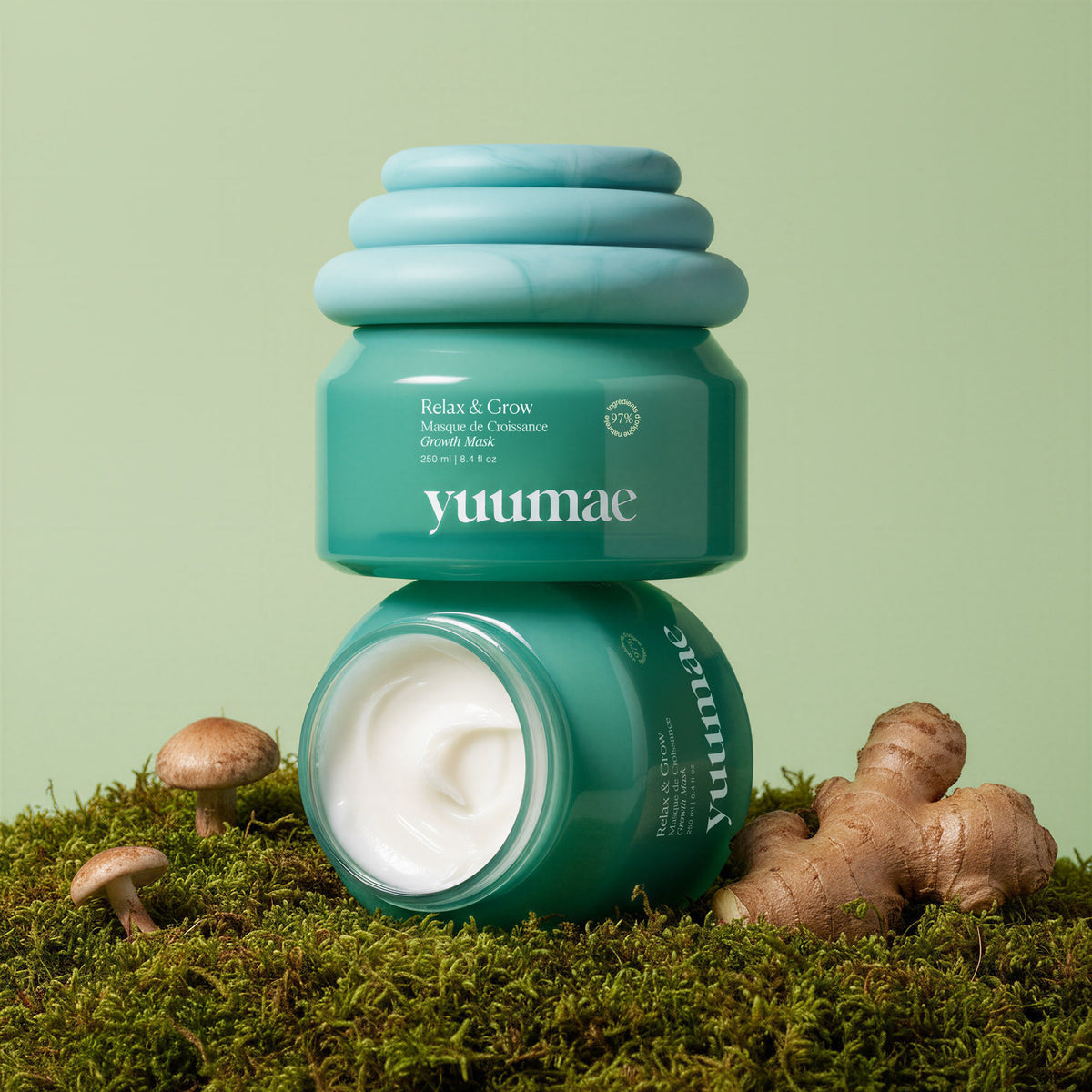 Masque pour la pousse des cheveux